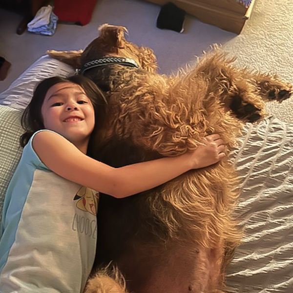 Loki the Airedale An Airedale Terrier snuggling with a family member.
