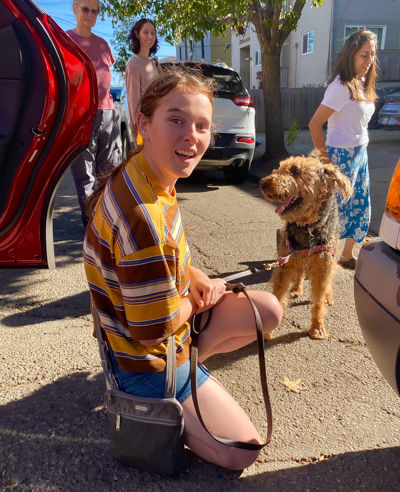 Airedale needs a new home Oshka the Airedale meeting a new friend